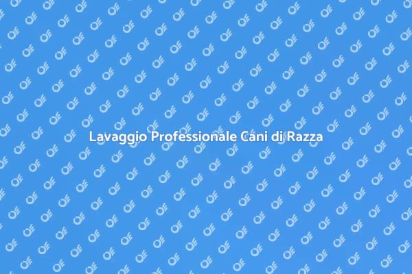 Lavaggio Cani: Un Servizio Fondamentale