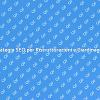 SEO: Chiave per il Successo Online