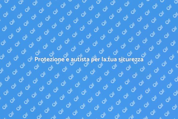 Servizio di sicurezza con autista