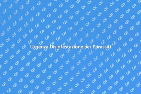 Disinfestazione d'Emergenza per Casa