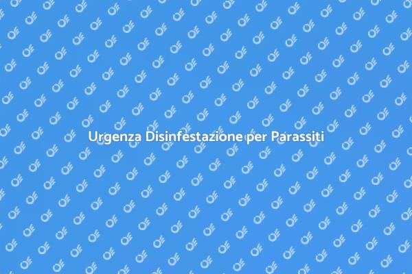 Disinfestazione: Soluzione Immediata per Casa