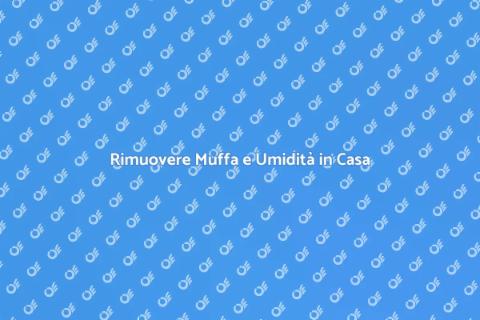 Bonifica e Protezione Antimuffa
