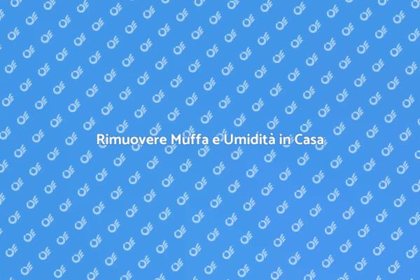 Liberati dalla Muffa in Casa