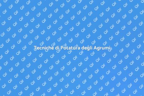 Potatura Agrumi: Guida alla Formazione