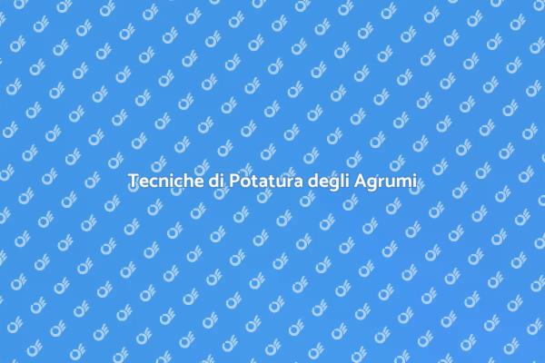 Guida alla Potatura degli Agrumi