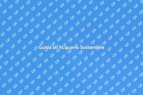 Acquario Sostenibile: Guida Pratica