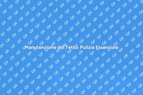 Pulizia Professionale del Tetto
