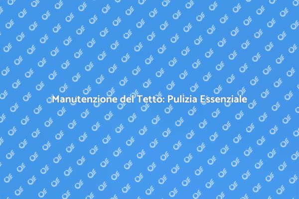 Importanza della Pulizia del Tetto