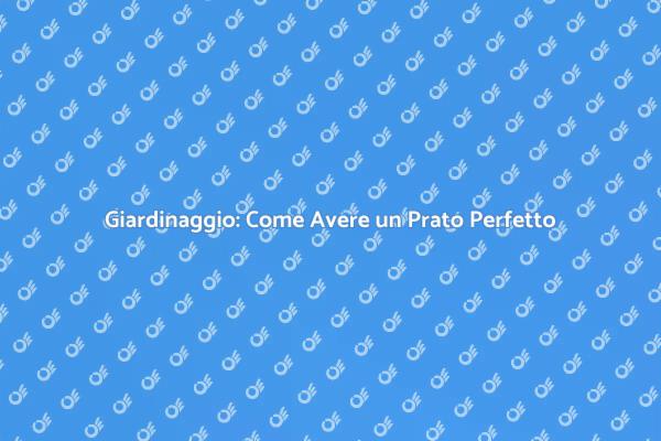 Prato Perfetto: Consigli di Giardinaggio