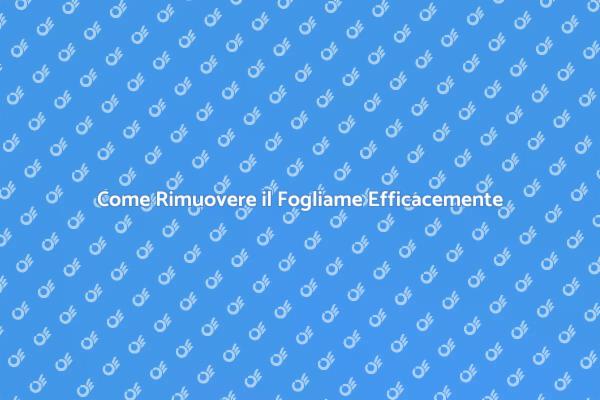 Guida alla Rimozione del Fogliame