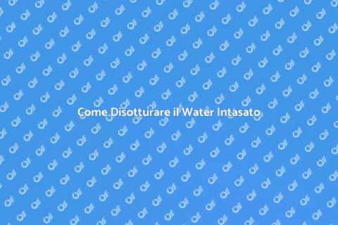 Disotturare il Water Intasato Facile