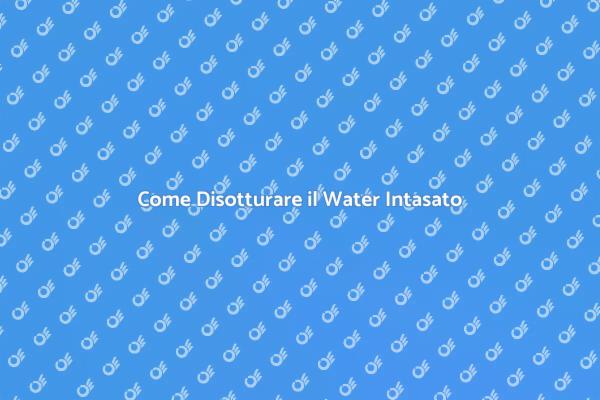 Risolvi il Water Intasato Subito
