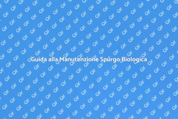 Importanza della Manutenzione Spurgo