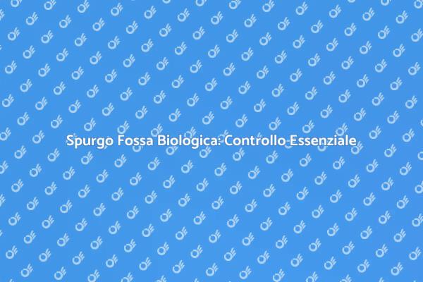 Importanza del Controllo Spurgo Fossa