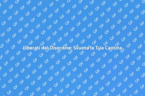 Svuotare Cantine in Modo Professionale