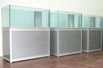 Aquarium La Torre  - Foto 2