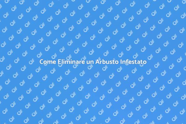 Rimozione Efficace di Arbusti Infestati
