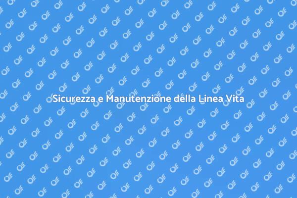 Importanza della Manutenzione della Linea Vita