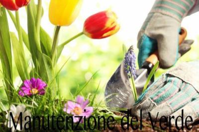 Garden Center  - Foto 5