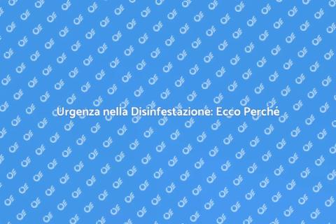 Disinfestazione d'Emergenza Necessaria