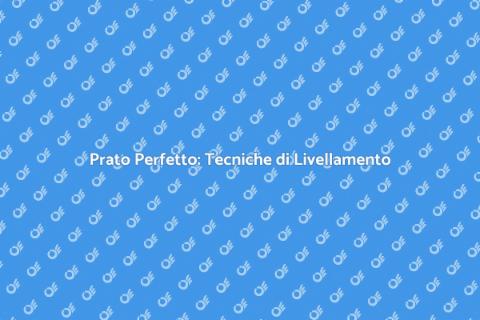 Livellamento Prato Residenziale