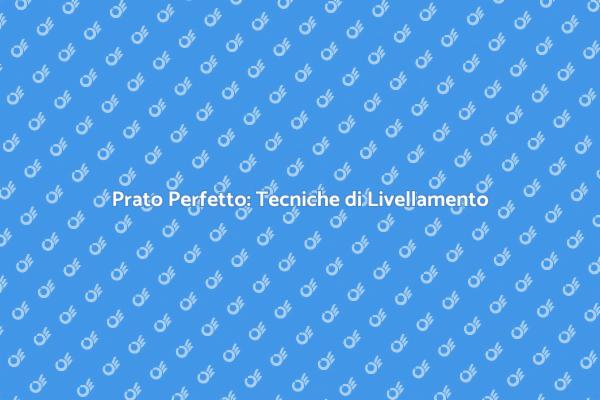 Trasforma il Tuo Prato con il Livellamento