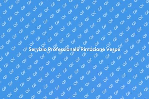 Rimozione Nido di Vespe Sicura