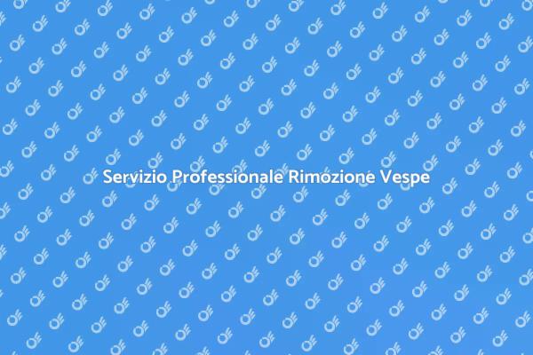 Rimuovi in Sicurezza i Nidi di Vespe
