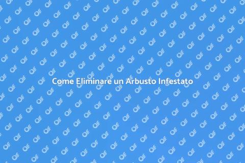 Rimuovere un Arbusto Infestato
