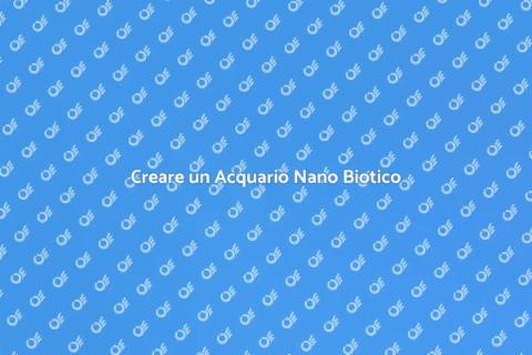 Acquario Nano Biotico: Guida Completa