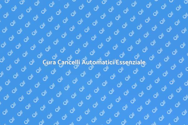 Manutenzione Essenziale per Cancelli