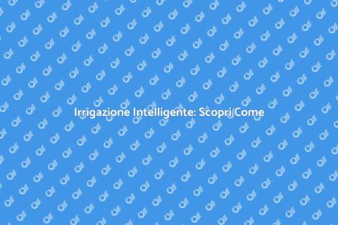 Programmatore Irrigazione: Il Futuro Verde