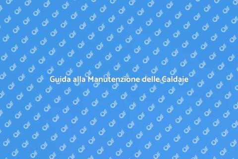 Manutenzione Caldaie a Camera Stagna