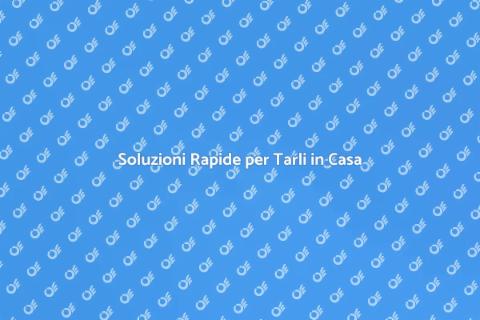 Disinfestazione Tarli Veloce ed Efficace