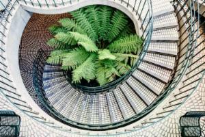 Indoor gardening: brillanti idee su come abbellire la tua abitazione