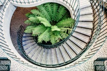 Brillanti idee di indoor gardening per la tua abitazione