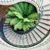 Brillanti idee di indoor gardening per la tua abitazione