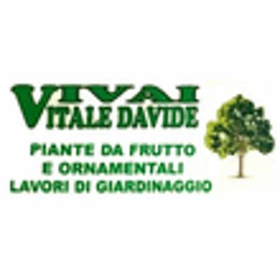 Vivai Vitale Davide  - Foto 1
