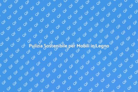 Pulizia Ecologica Mobili in Legno