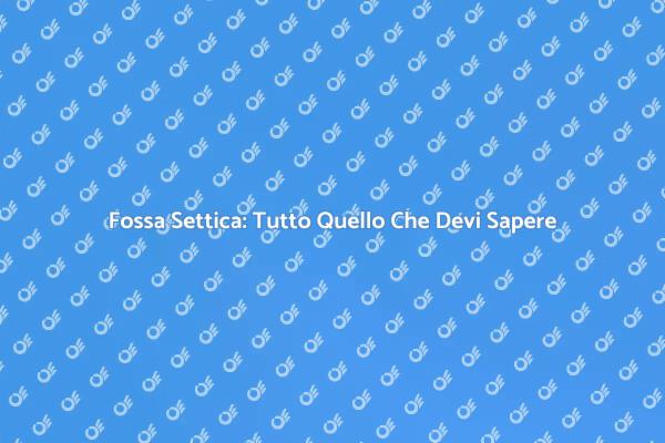Guida Essenziale alla Fossa Settica