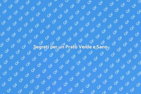Cura del Tappeto Erboso Perfetto