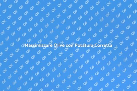 Potatura Olivo: Massimizzare Risultati