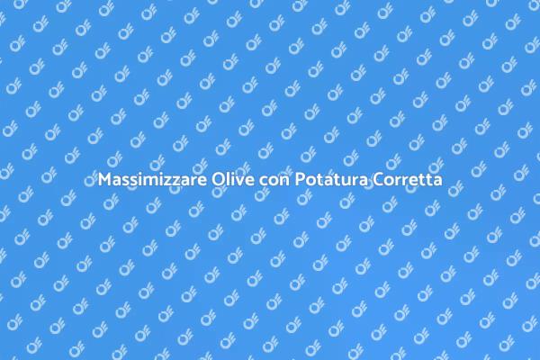 Potatura Olivo: Tecniche e Benefici