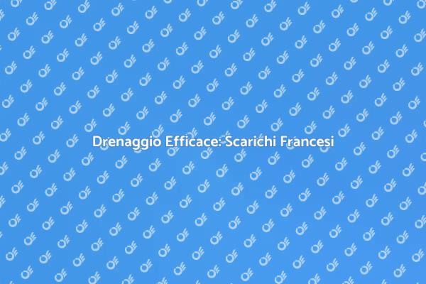 Gestione Acque: Gli Scarichi Francesi
