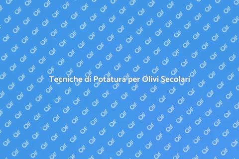 Potatura Olivi Secolari: Guida Pratica
