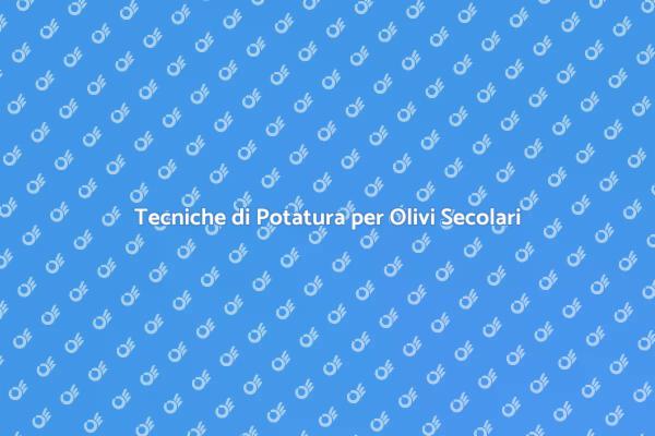 Guida alla Potatura degli Olivi Secolari