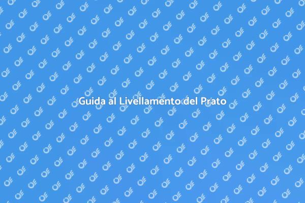 Trasforma il Tuo Giardino con il Livellamento