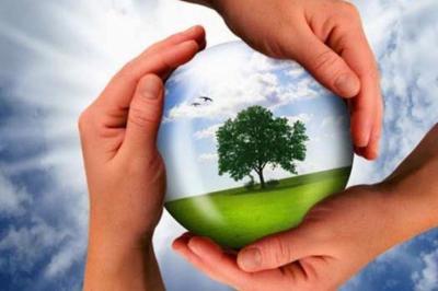 Ars Ecologia  - Foto 3
