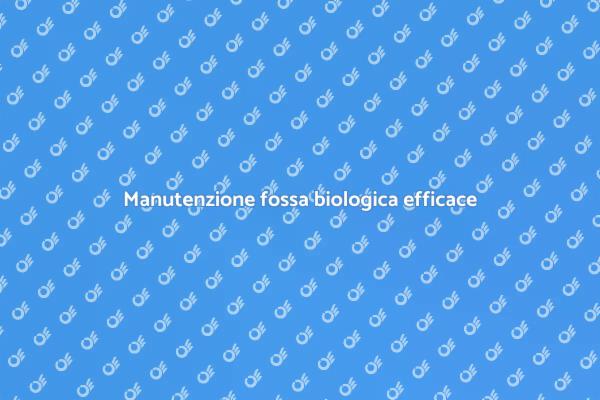 Evita intasamenti nella tua fossa biologica