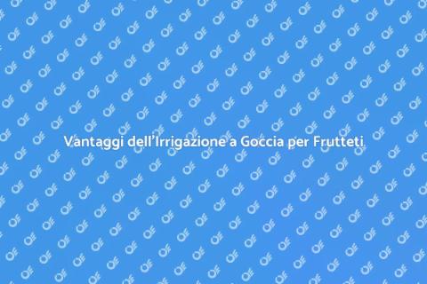 Irrigazione a Goccia: Vantaggi per i Frutteti